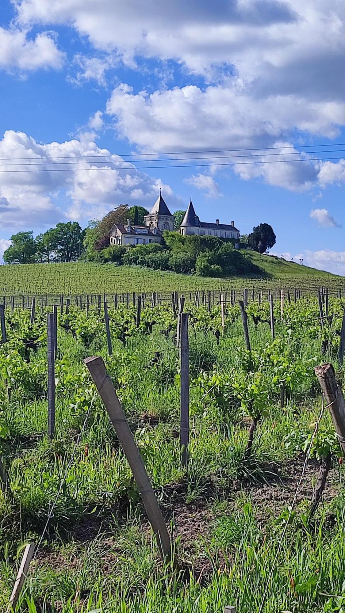 Maison Charmeilles - La Suite Pomerol Fronsac  エクステリア 写真