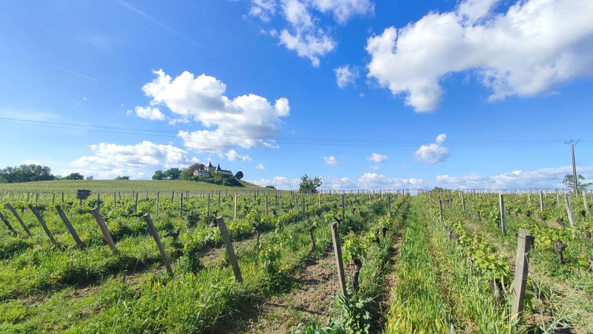 Maison Charmeilles - La Suite Pomerol Fronsac  エクステリア 写真
